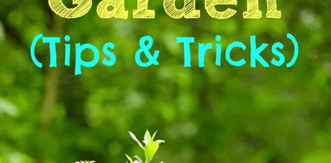 Native and adaptable herb varieties ideas for herb gardens design Native and adaptable herb varieties ideas for herb gardens design