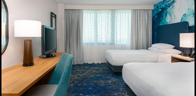 Nearby accommodations address for busch gardens tampa florida Nearby accommodations address for busch gardens tampa florida