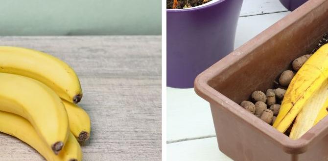 Nutritional benefits of banana peels are banana peels good for gardens