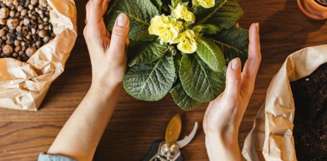 Nutritional impact why gardening is good for you