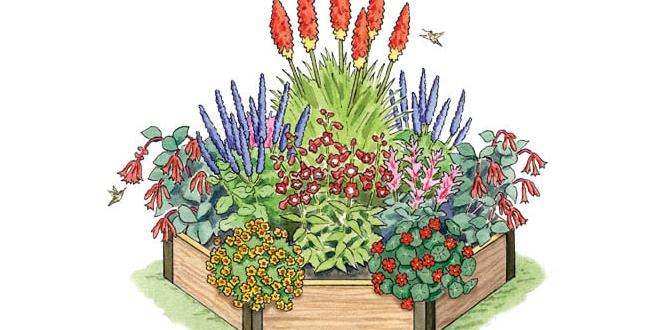 Optimal garden layout and design gardening for hummingbirds Optimal garden layout and design gardening for hummingbirds