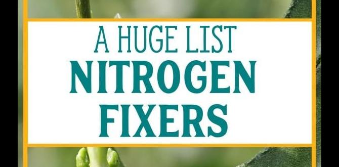 Optimal nitrogen levels for different plants nitrogen for gardens Optimal nitrogen levels for different plants nitrogen for gardens