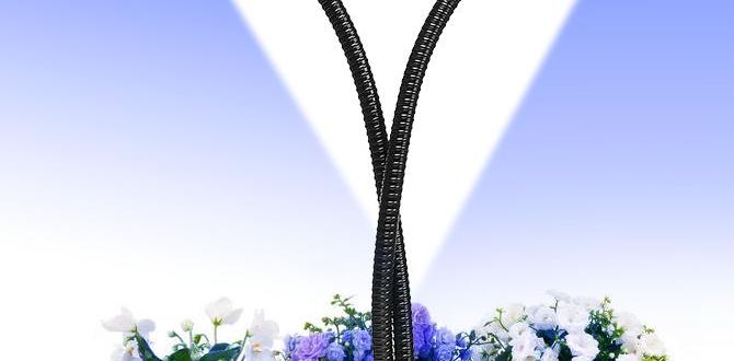 Optimal placement and coverage lights for gardening