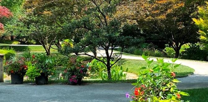 Optimal timeframes for visiting best time to visit gibbs gardens Optimal timeframes for visiting best time to visit gibbs gardens