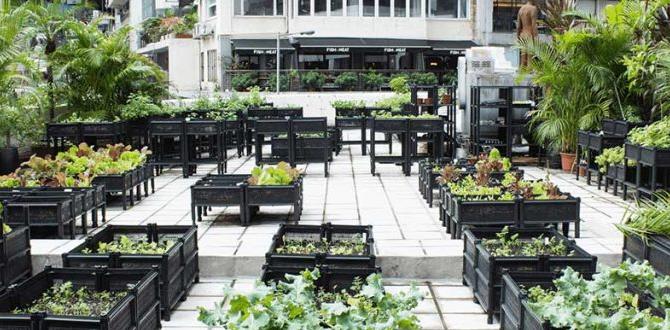 Optimizing space in urban gardens tips for urban gardening Optimizing space in urban gardens tips for urban gardening