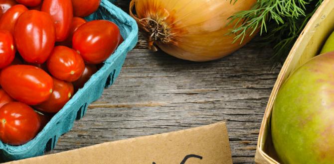 Organic fertilizing options what's the best fertilizer for gardens Organic fertilizing options what's the best fertilizer for gardens