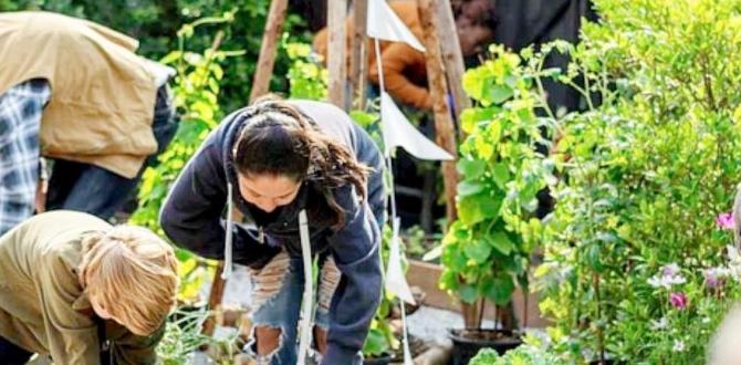 Organic gardening practices gardening for self sufficiency Organic gardening practices gardening for self sufficiency