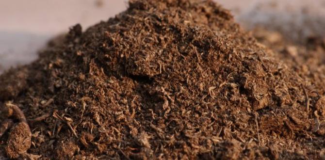 Peaty soil types of soil for gardening Peaty soil types of soil for gardening