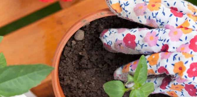 Personalized gardening gifts gardening gifts for elderly Personalized gardening gifts gardening gifts for elderly
