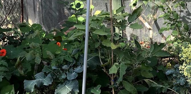 Pest control solutions best ideas for herb gardens