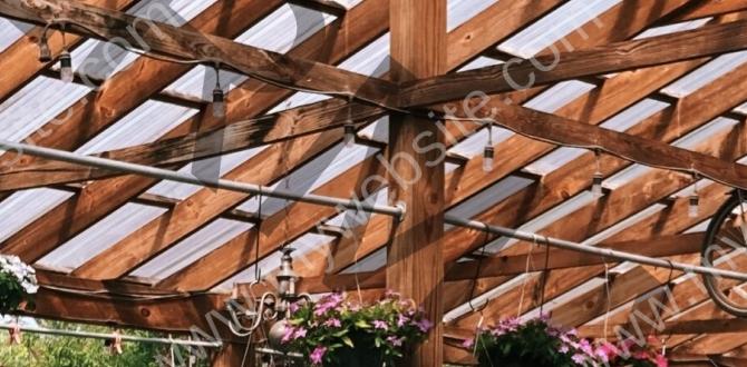 Pest management: ecofriendly solutions for gardens sake Pest management: ecofriendly solutions for gardens sake