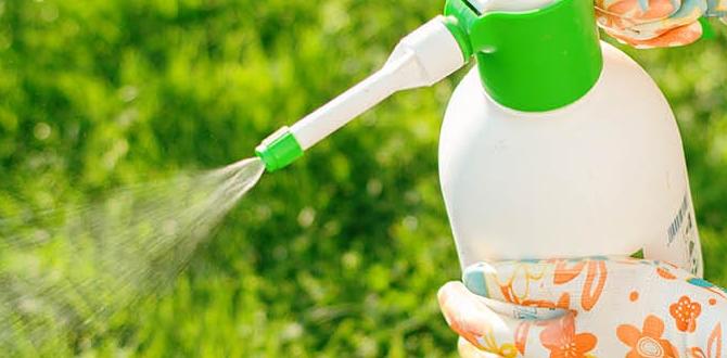 Pest management in the garden best gardening advice Pest management in the garden best gardening advice