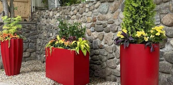 Placement and sunlight requirements large pots for gardening