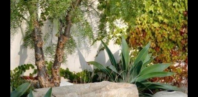 Placement ideas for stone benches stone benches for gardens