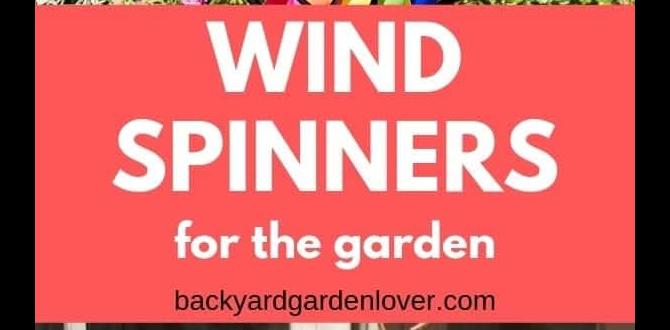 Placement tips for maximum effect wind spinners for gardens Placement tips for maximum effect wind spinners for gardens