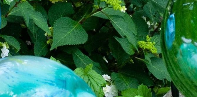 Placement tips for solar gazing balls in the garden solar gazing balls for gardens