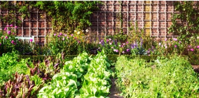 Planning your garden layout homestead gardening for beginners