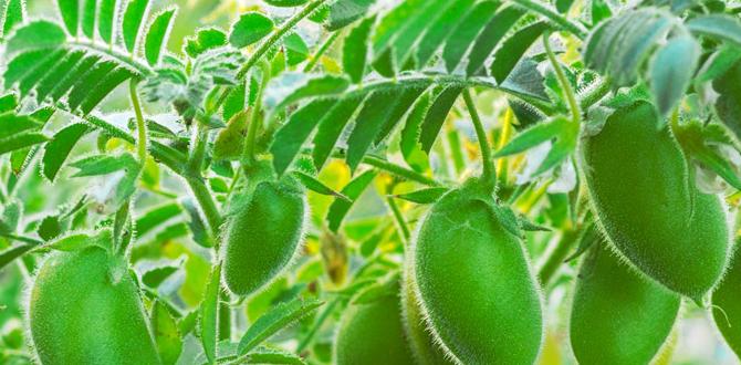 Plant selection for no dig gardens no dig gardens for beginners Plant selection for no dig gardens no dig gardens for beginners