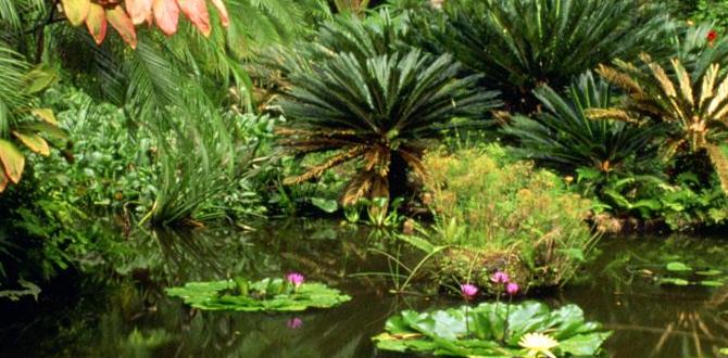 Plants that thrive with coffee grounds are coffee grounds good for gardening