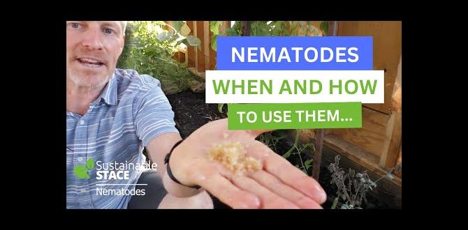 Potential challenges and solutions beneficial nematodes for vegetable gardens Potential challenges and solutions beneficial nematodes for vegetable gardens