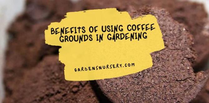 Potential downsides of using coffee grounds starbucks grounds for gardens