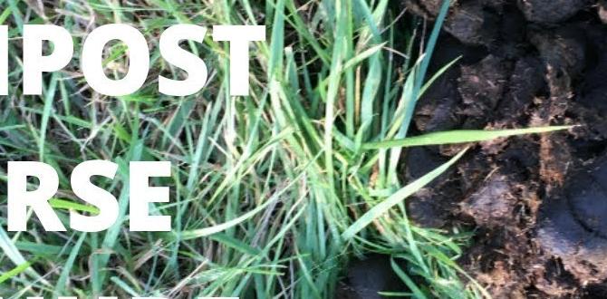 Potential drawbacks and risks is horse manure good for vegetable gardens Potential drawbacks and risks is horse manure good for vegetable gardens