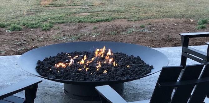 Potential drawbacks of fire pit ash is fire pit ash good for gardens
