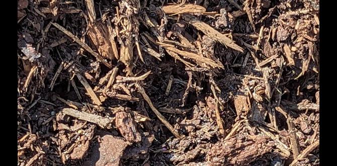 Potential drawbacks of pine mulch is pine mulch good for gardens