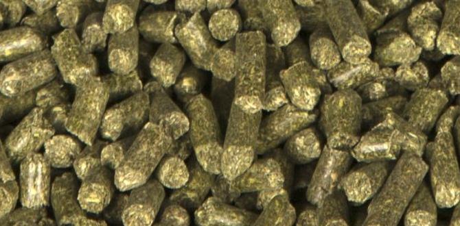 Potential drawbacks of using alfalfa pellets alfalfa pellets for gardening Potential drawbacks of using alfalfa pellets alfalfa pellets for gardening