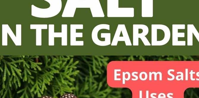 Potential risks and considerations epsom salt for gardening
