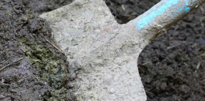 Potential risks and considerations is cow manure good for gardens Potential risks and considerations is cow manure good for gardens