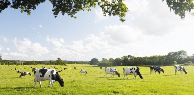 Potential risks and considerations is cow manure good for vegetable gardens