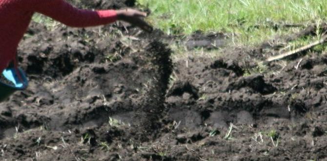 Potential risks and how to mitigate them manure for gardening Potential risks and how to mitigate them manure for gardening