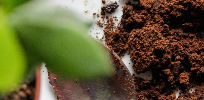 Potential risks and limitations are coffee grounds good for gardens Potential risks and limitations are coffee grounds good for gardens