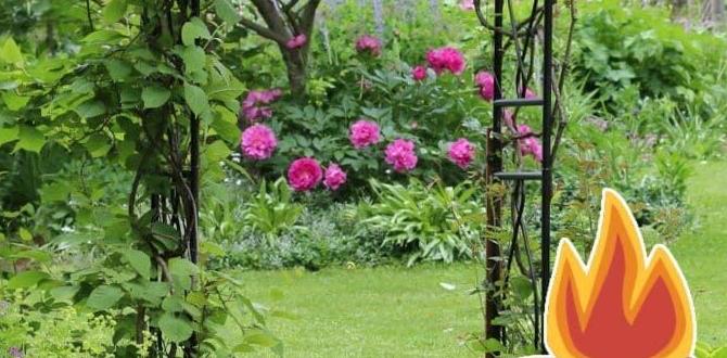 Potential risks and precautions is charcoal ash good for gardens