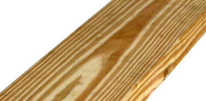 Potential risks of using pressure treated lumber in gardening is home depot pressure treated lumber safe for vegetable gardens Potential risks of using pressure treated lumber in gardening is home depot pressure treated lumber safe for vegetable gardens