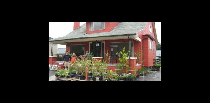 Potential risks to vegetable gardens is bifen safe for vegetable gardens