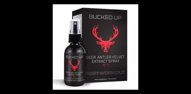 Potential side effects and safety measures deer spray for gardens Potential side effects and safety measures deer spray for gardens