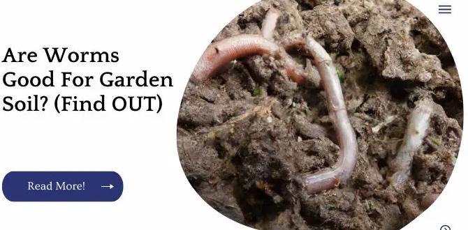 Practical tips for utilizing worms in your garden are worms good for gardens Practical tips for utilizing worms in your garden are worms good for gardens