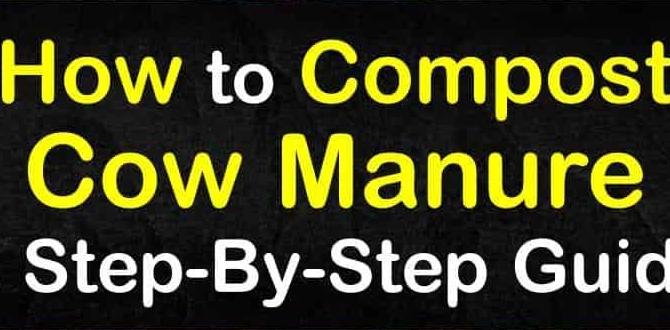 Preparing cow manure for garden use cow manure for gardens