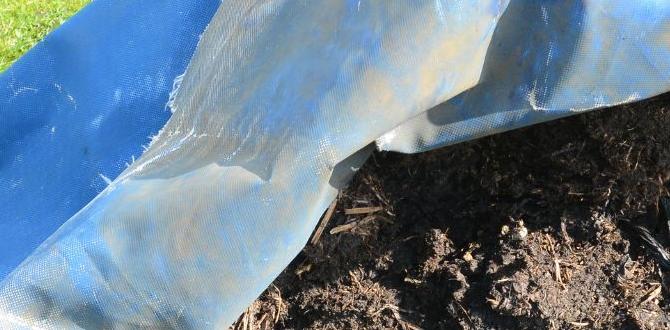 Preparing horse manure for use horse manure for gardening Preparing horse manure for use horse manure for gardening