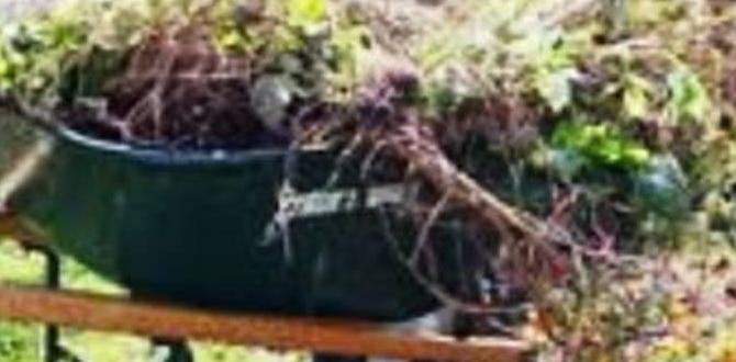 Preparing your garden for fall gardening for fall
