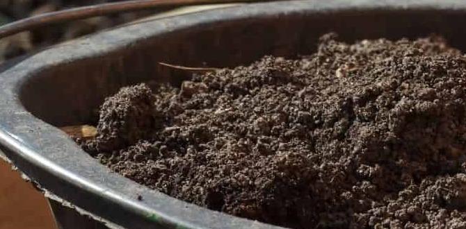 Preparing your garden for spring when to start gardening for spring Preparing your garden for spring when to start gardening for spring