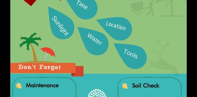 Preparing your garden soil gardening steps for beginners Preparing your garden soil gardening steps for beginners