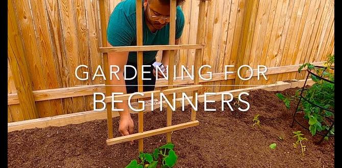 Preparing your garden space gardening in texas for beginners