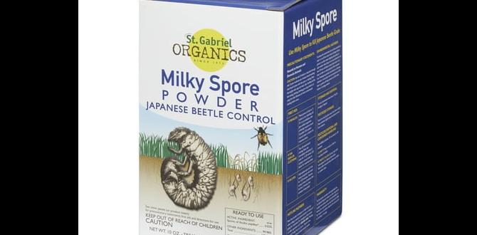 Preventive measures for gardeners are june bugs bad for gardens Preventive measures for gardeners are june bugs bad for gardens