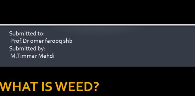 Preventive measures for weed growth safe weed control for vegetable gardens