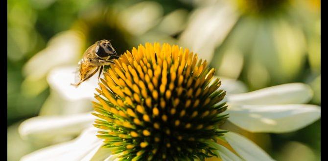 Providing habitat for wildlife benefits of gardening for the environment Providing habitat for wildlife benefits of gardening for the environment