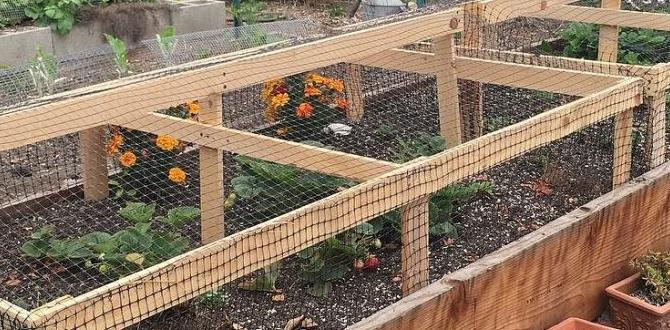 Providing shelter and protection gardening for birds