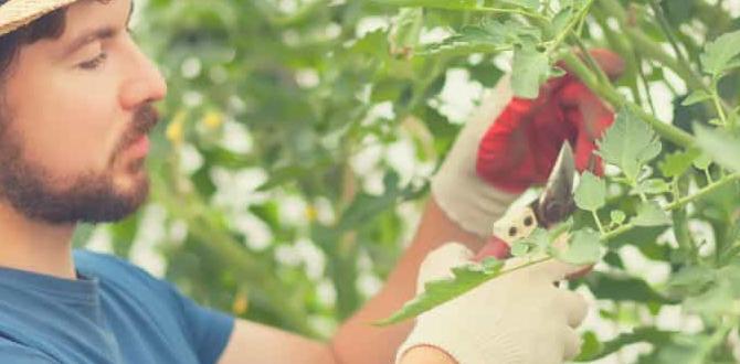 Pruning and supporting tomato plants tomato gardening for beginners